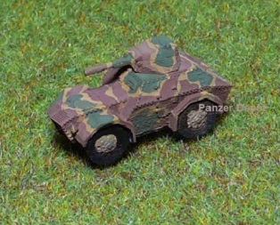 AS43 (camo)